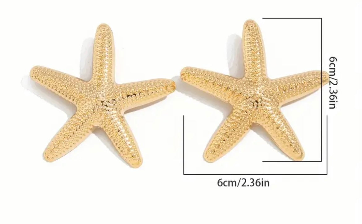 $12.990 🌊 Aros “Estrella Marina”