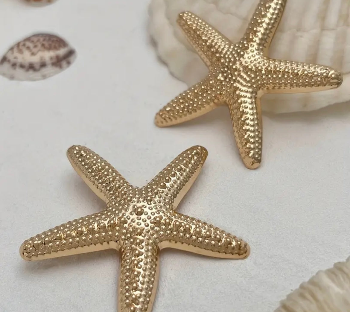 $12.990 🌊 Aros “Estrella Marina”