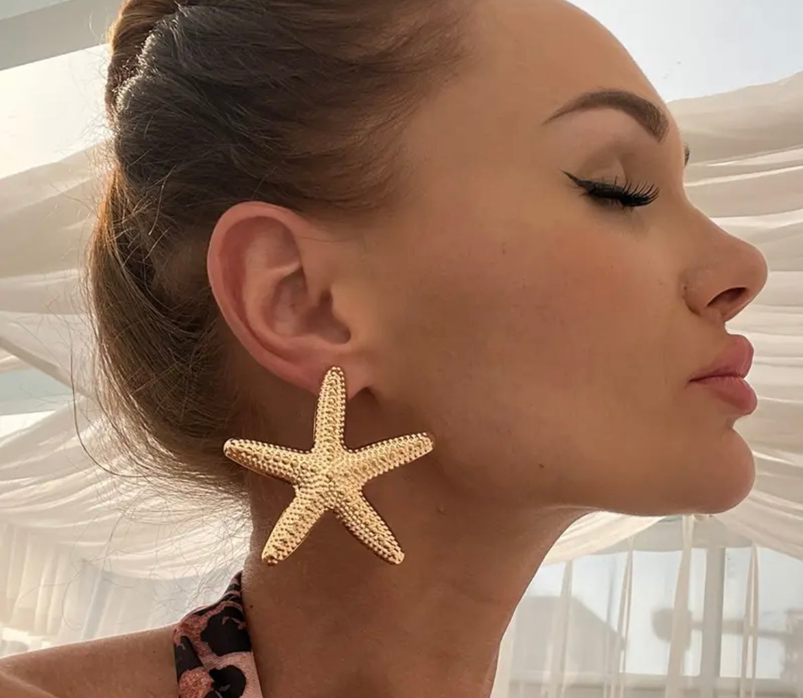 $12.990 🌊 Aros “Estrella Marina”